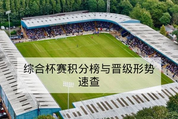 网球大赛选手退赛与替补出场顺位查询